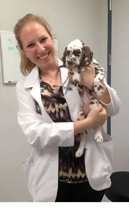 Dr. Emily Shani, D.V.M. Veterinarian at Willow Glen Pet Hospital