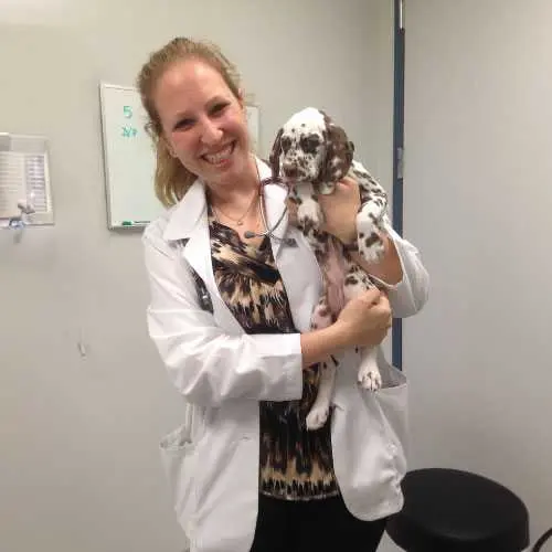 Compassionate vet care for dogs and cats San Jose